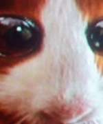 Profilbild för sir_lord