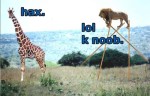 Bild av BaOmS