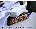 Den första musen på mars