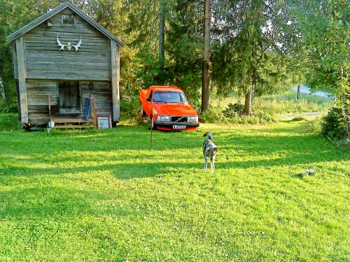 Bild av Mirez73