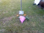 Bild av rudde89