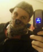 Bild av normex