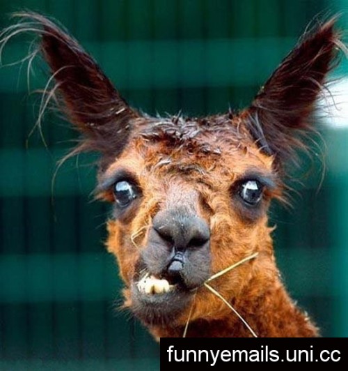 Bild av ababbe