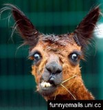 Bild av ababbe