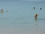 Bild av sebbac