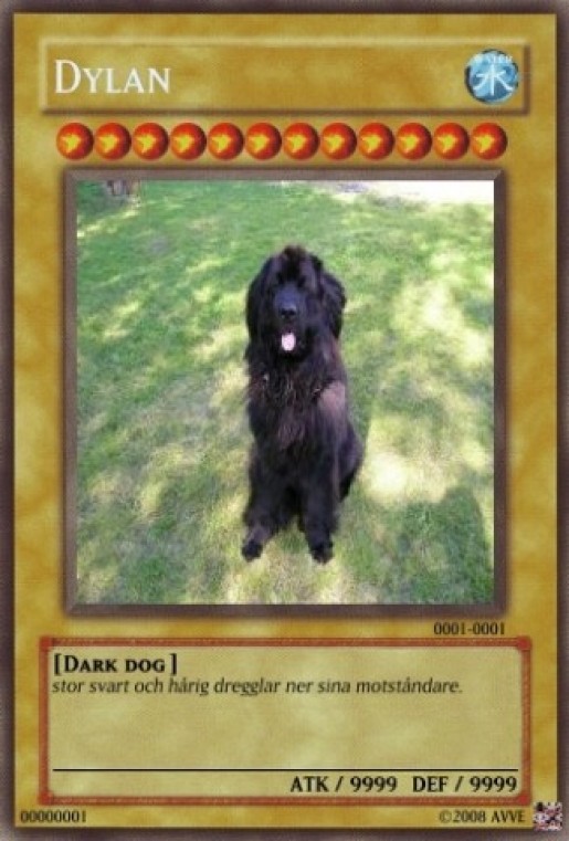Bild av arvidwikman