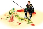 Bild av barthomer