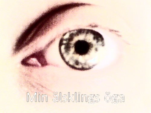 Bild av jennyskille