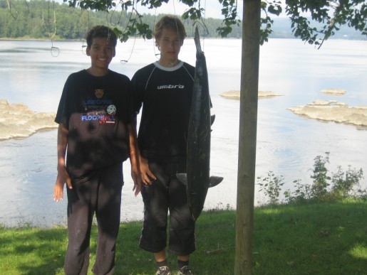 Bild av elwan91
