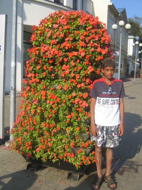 Bild av elwan91