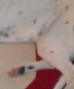 Bild av sandy98