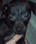 Bild av sandy98