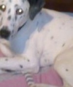 Bild av sandy98