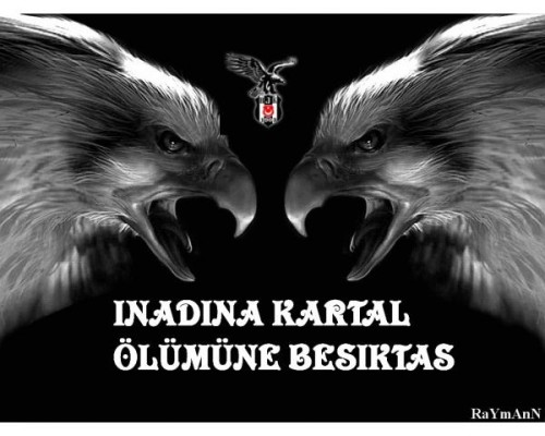 Bild av besiktas