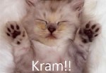 Bild av OnlyLoveDBSK