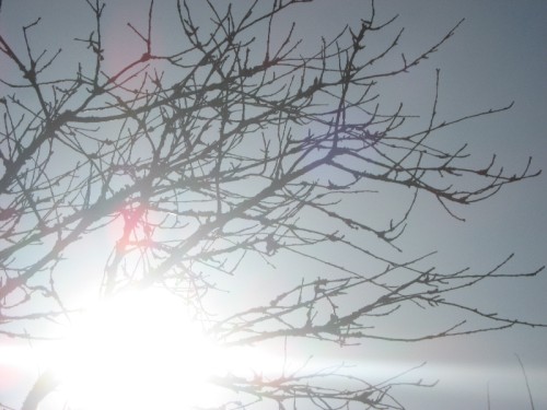 Bild av Kladzz