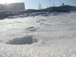 Bild av Kladzz
