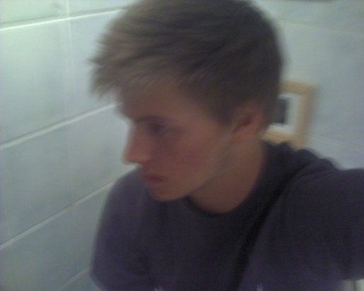 Bild av pingo