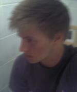 Bild av pingo