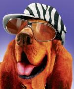 Bild av f1ll1e