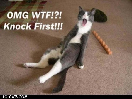 lol cats 4ever