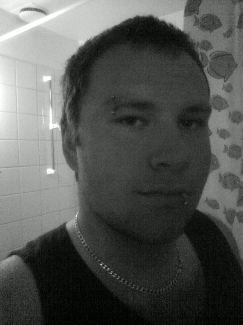 Bild av bammse