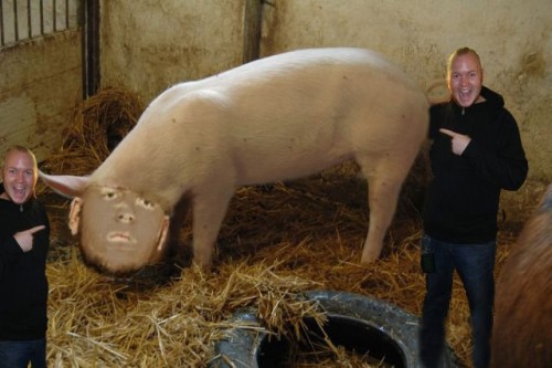 Bild av Metalhead93