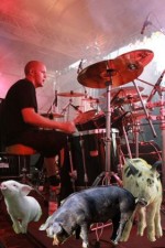Bild av Metalhead93