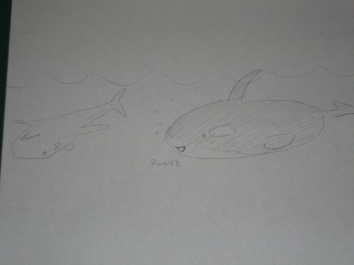 Animal planet ftw >:O