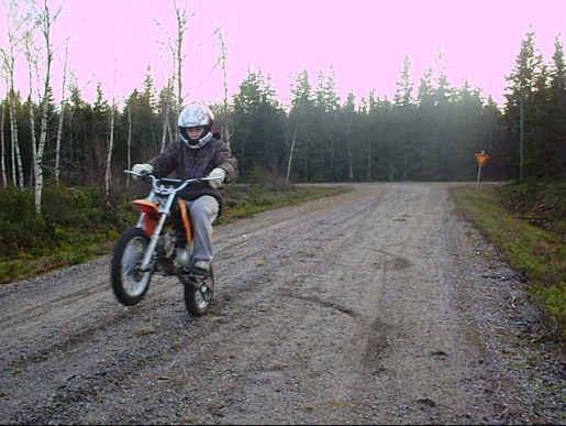 Bild av alkis