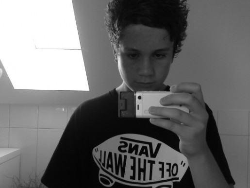 Bild av DSSNIPE