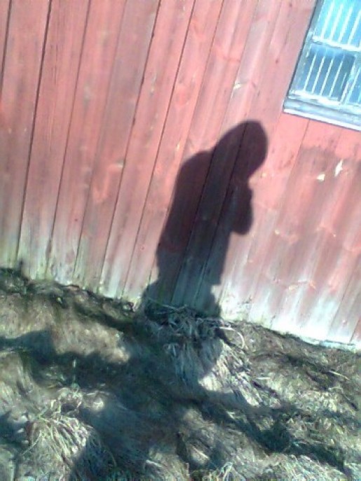 Bild av ShoTed
