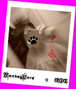 Bild av Adamcrashi