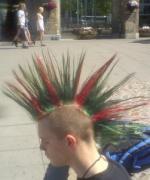 Bild av trollet1993