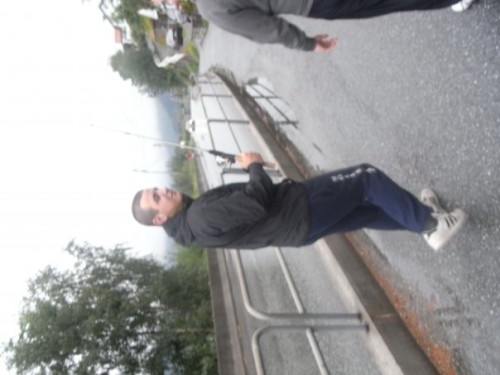 Bild av niilssone