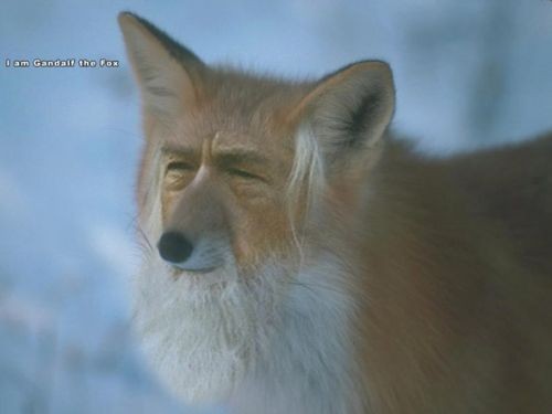 Bild av Renameme