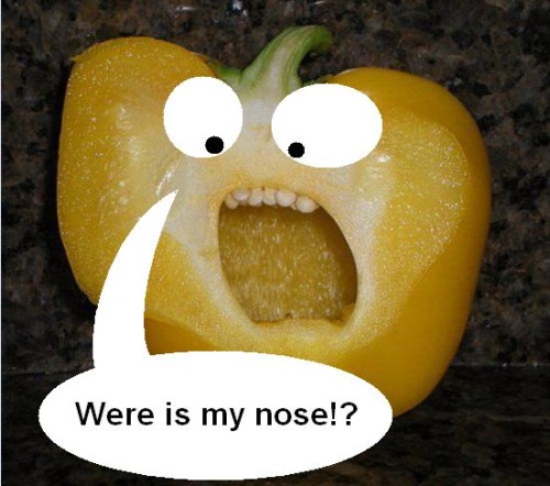 Paprika