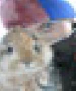 Profilbild för Littlerabbit