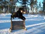 Bild av hipparehopparehiphop