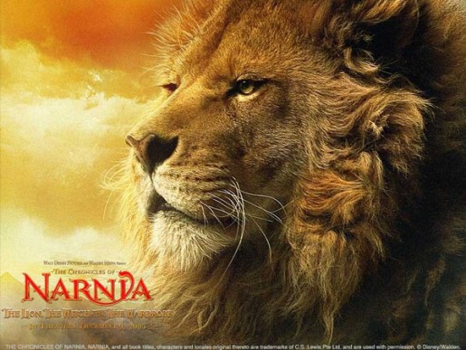 Bild av dragonwarrior