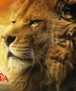 Bild av dragonwarrior