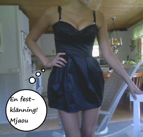 Bild av dessieC