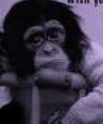 Bild av monkeey