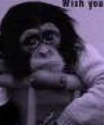 Bild av monkeey