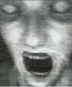 Profilbild för revilopa