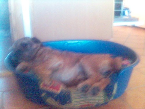 Bild av pettan4ever