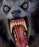 Profilbild för SoulStealer