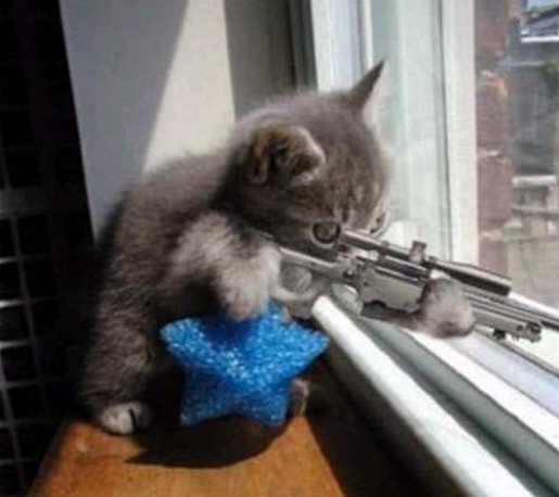 Bild av sNIPER880