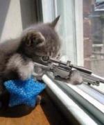 Profilbild för sNIPER880