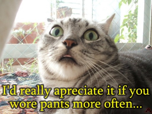 Bild av Ilovecats